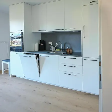 Mit Balkon Nahe Interlaken & Adelboden * 弗鲁蒂根