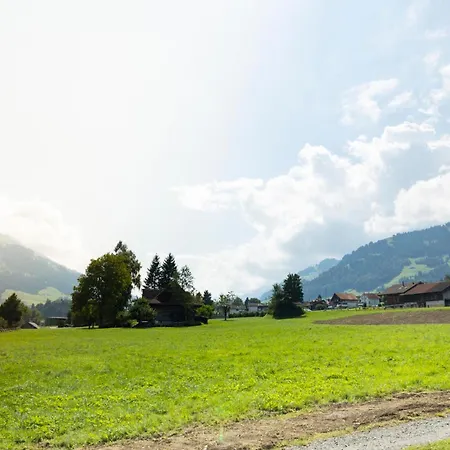 Mit Balkon Nahe Interlaken & Adelboden 公寓 弗鲁蒂根