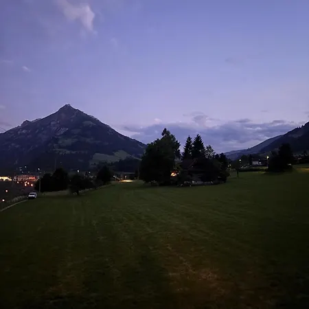 Mit Balkon Nahe Interlaken & Adelboden * 弗鲁蒂根