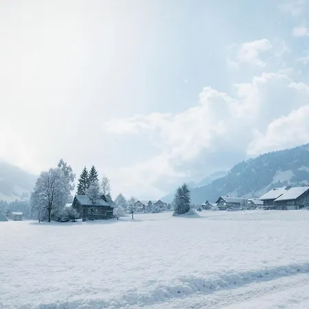 Mit Balkon Nahe Interlaken & Adelboden 公寓 弗鲁蒂根